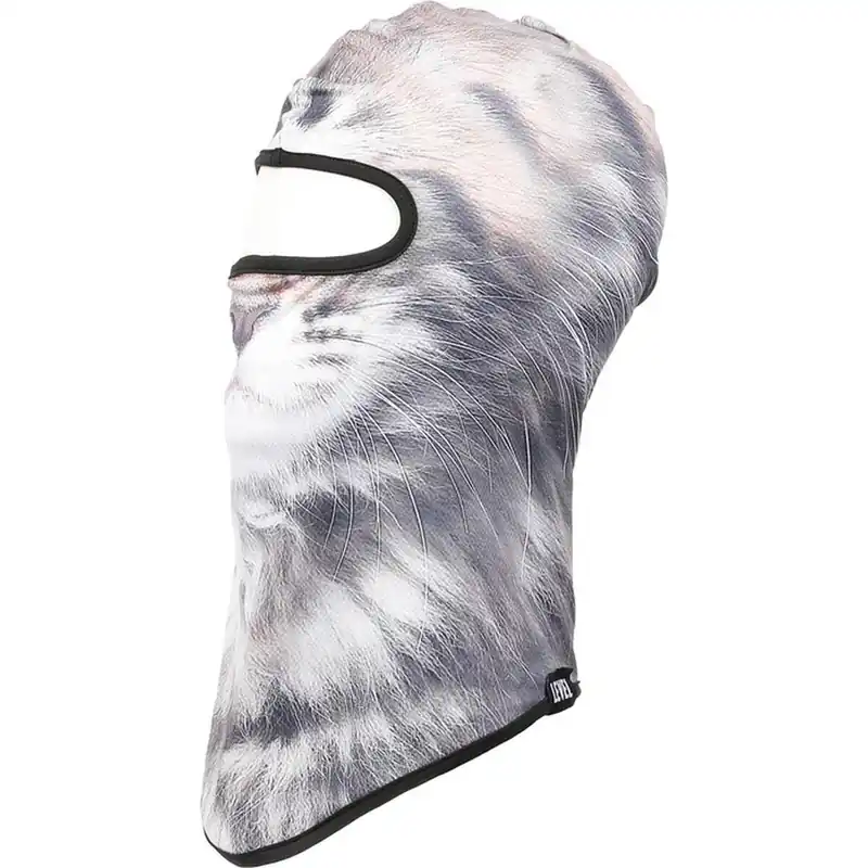 Windsurfen, Kiten, Wingen, SUP usw. - 414895, 19,95 Günstig