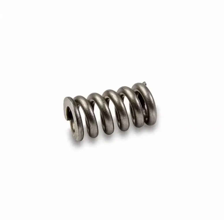 Carver Parts C7 Spring Abverkauf