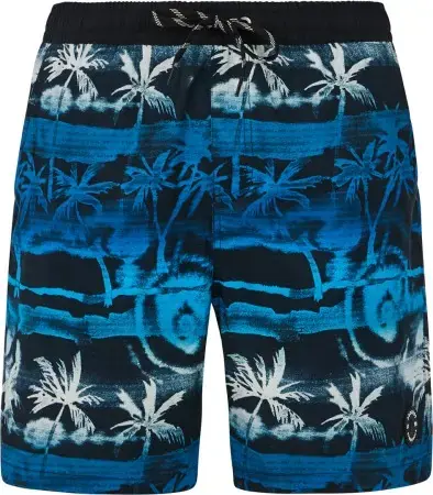 Super-Preis Protest PRTDELTON 19 Boardshort olympic blue Warehouse One