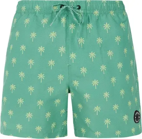 Protest PRTALVIS Boardshort frosty green Warehouse One Rabatt