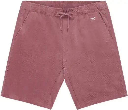 Billig Iriedaily CORVIN Walkshort plum Warehouse One