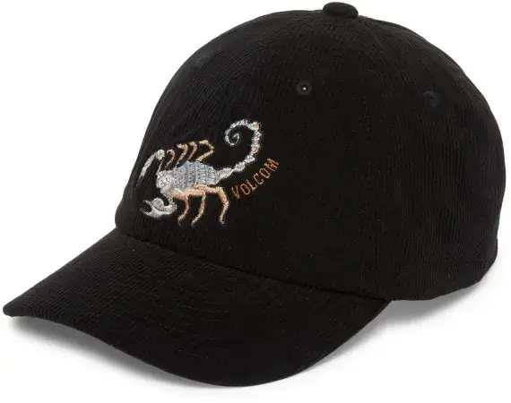 Nur Für Kurze Zeit Volcom FA MICKEY MASON Cap black Warehouse One