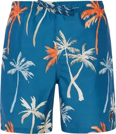 Protest PRTHEAR 19 Boardshort raku blue Warehouse One Schneller Versand