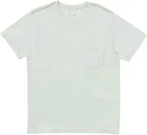 Rvca PTC 2 PIGMENT T-Shirt green tea Warehouse One Schnäppchen