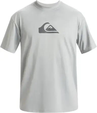 Letzte Chance Quiksilver EVERDAY SURF TEE SS Lycra heather grey Warehouse One