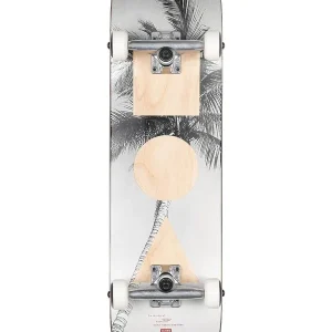 Jetzt Bestellen Globe G1 Stack 8.0 Skateboard Lone Palm