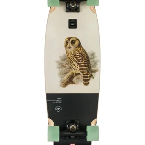 Globe Wave Blazer 31" Longboard Komplettboard Hoot Owl Nur Heute