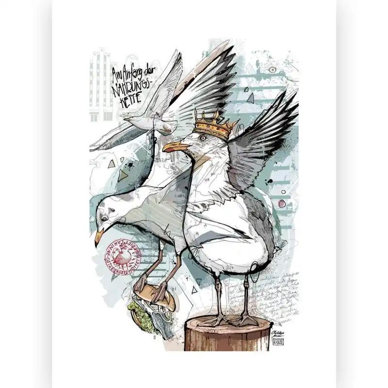 Direktkauf Postkarte Illustration Christoph Kadur Möwen Kartell