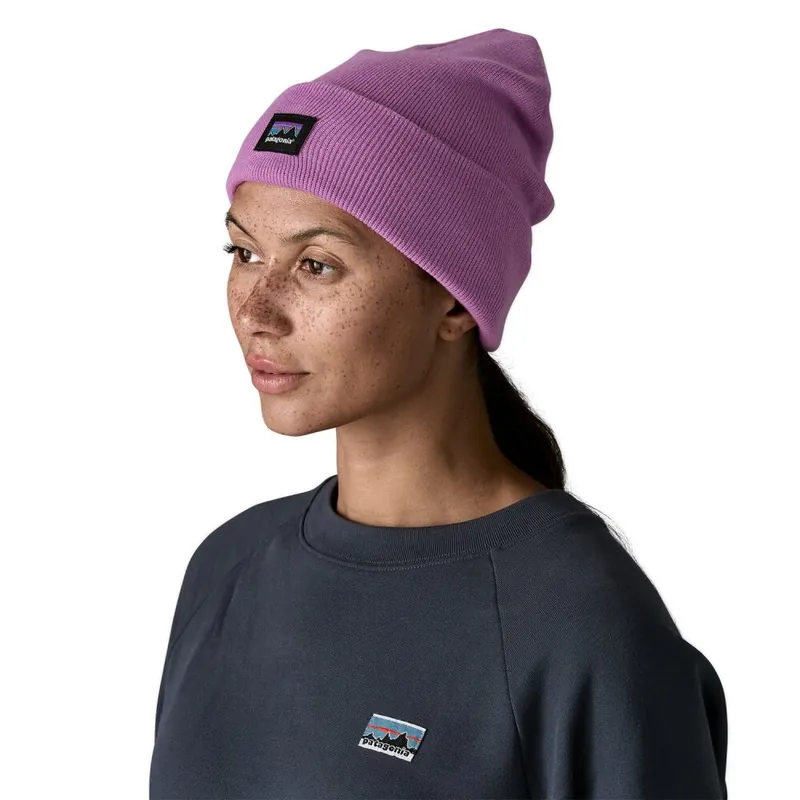 Must-Have Patagonia Everyday Beanie Brisk Purple