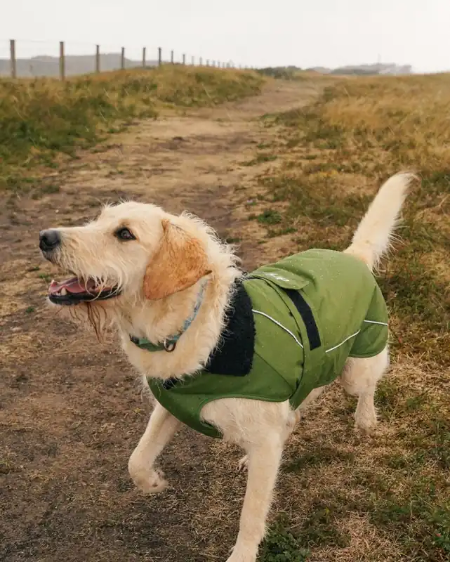 Preiswert DRYROBE Dog Coat Hundemantel Dunkelgrün Schwarz M
