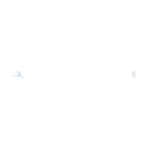 Severne Sails Apex SDM Multi color Carbonmast Letzte Chance