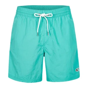 Nur Heute O‘Neill Vert Swim Shorts 2024 Blau Boardshorts