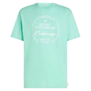 O‘Neill BEACH FRONT PRINT 2026 Grün T-shirt Markenprodukt
