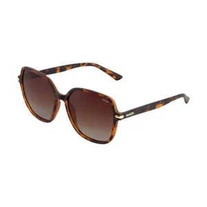 Top-Angebot Sinner BARFLEUR Braun Sonnenbrille