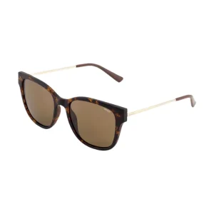 Sinner MRAUK Braun Sonnenbrille Jetzt Kaufen