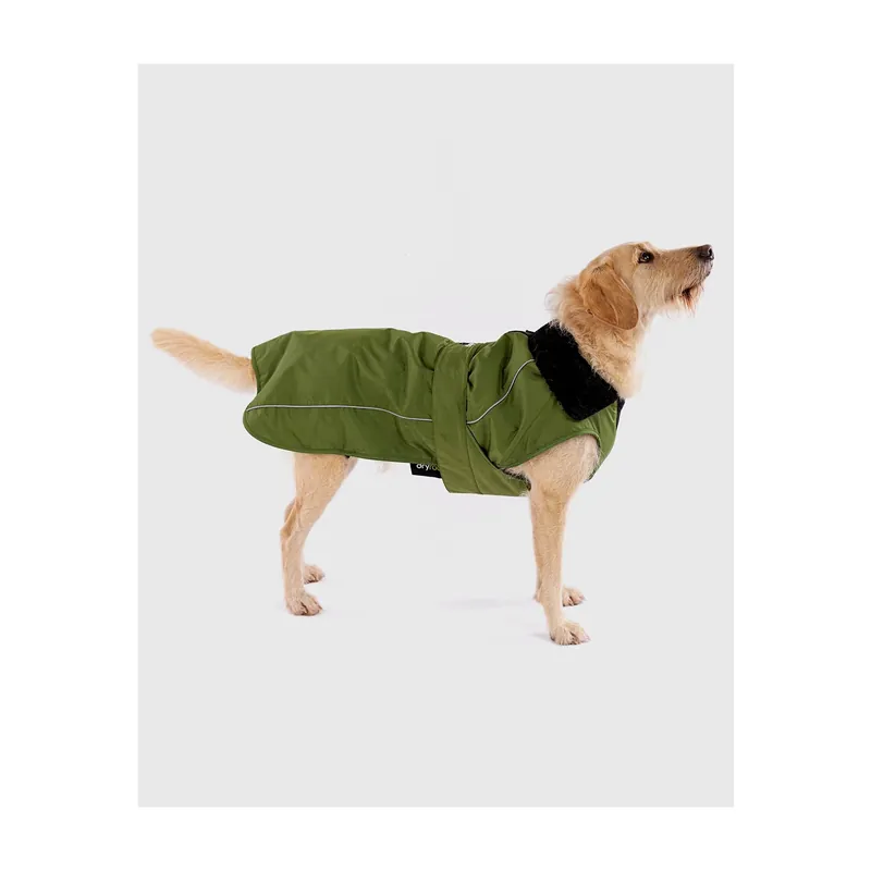 Dryrobe Dog Coat Hundemantel Dark green black - Wind Lounge Begrenztes Angebot