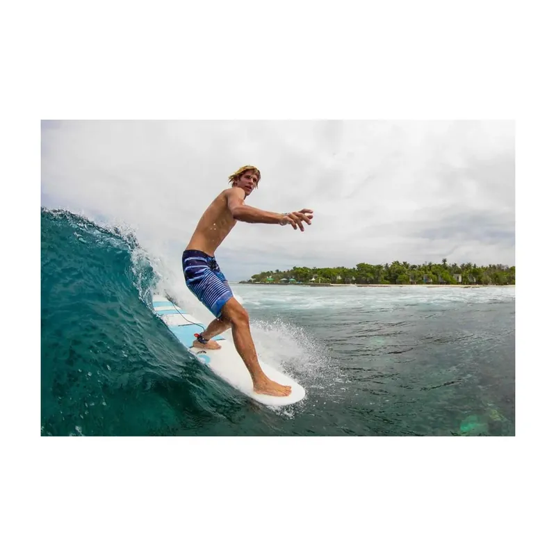 Surfboard TORQ TET 8.6 Longboard Pinline Online Kaufen